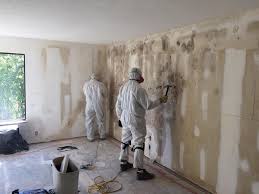 Prestonsburg, KY Mold Removal Services Company